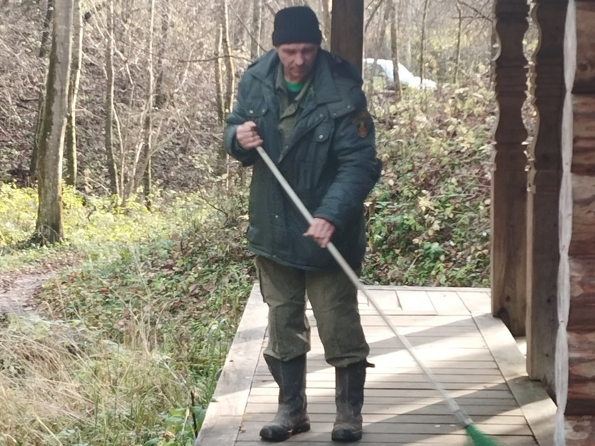 Фото: ГАУ МО «Мособллес»   