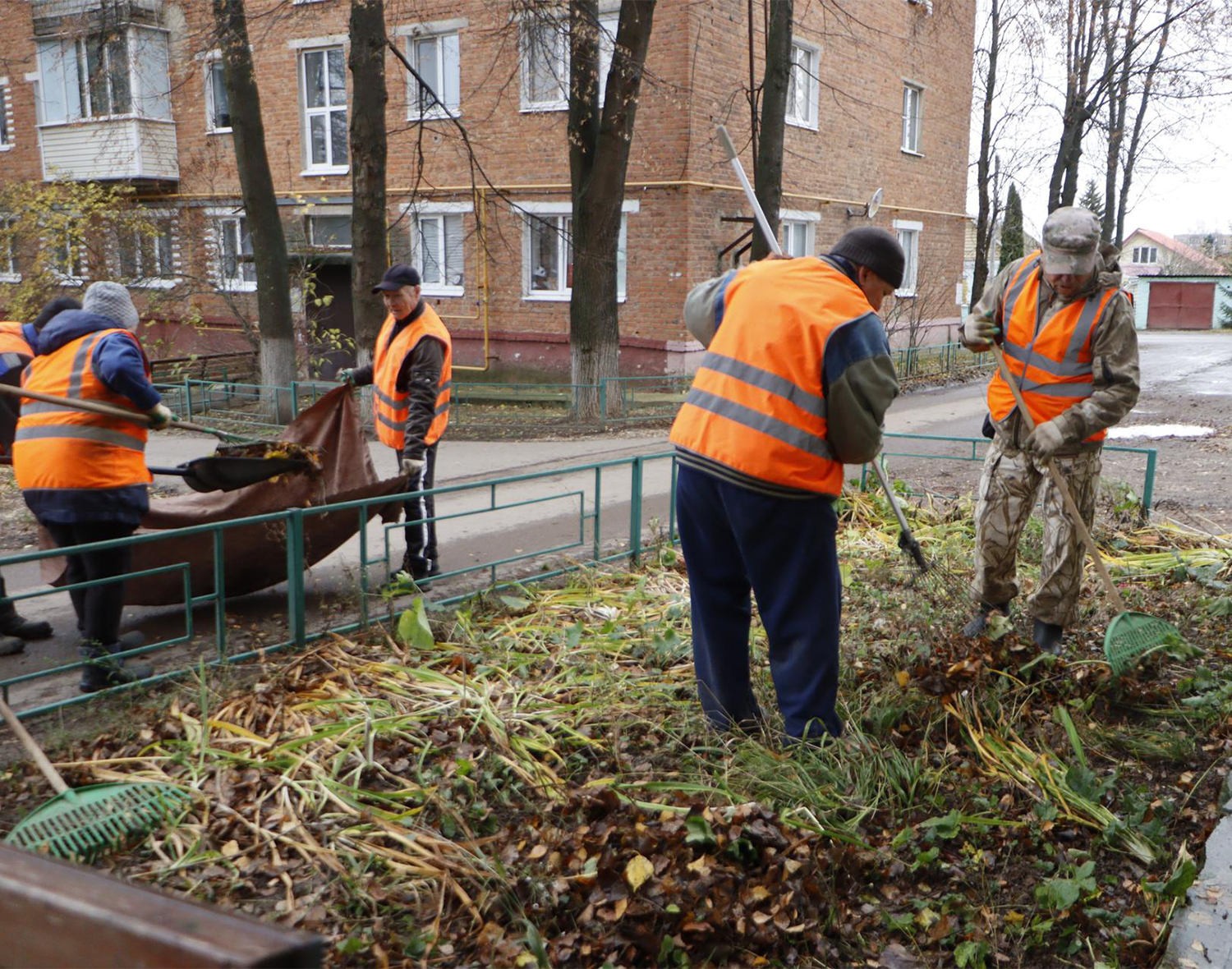 Фото: МедиаБанк Подмосковья/Татьяна Кострикина