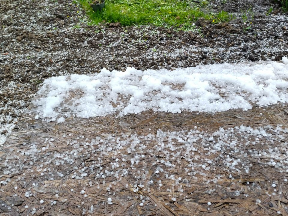 Фото: REGIONS/Роман Малышенко