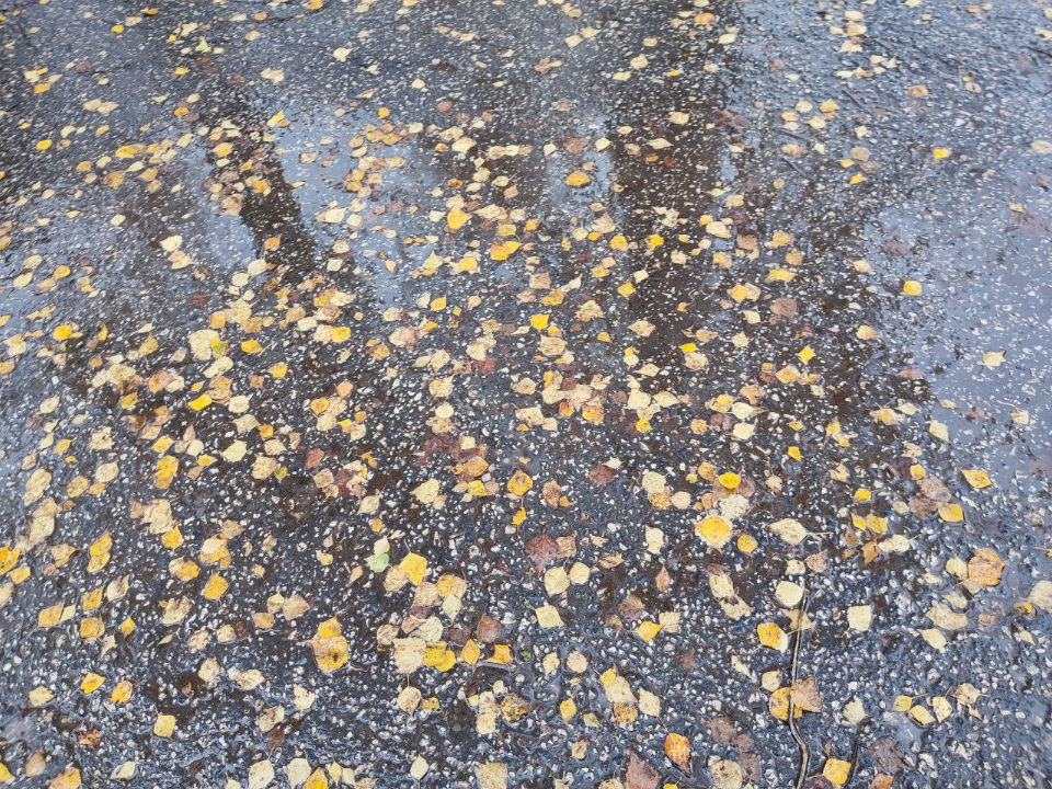 Фото: REGIONS/Елена Забелина