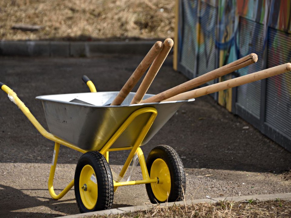 Фото: Ирина Зубарева