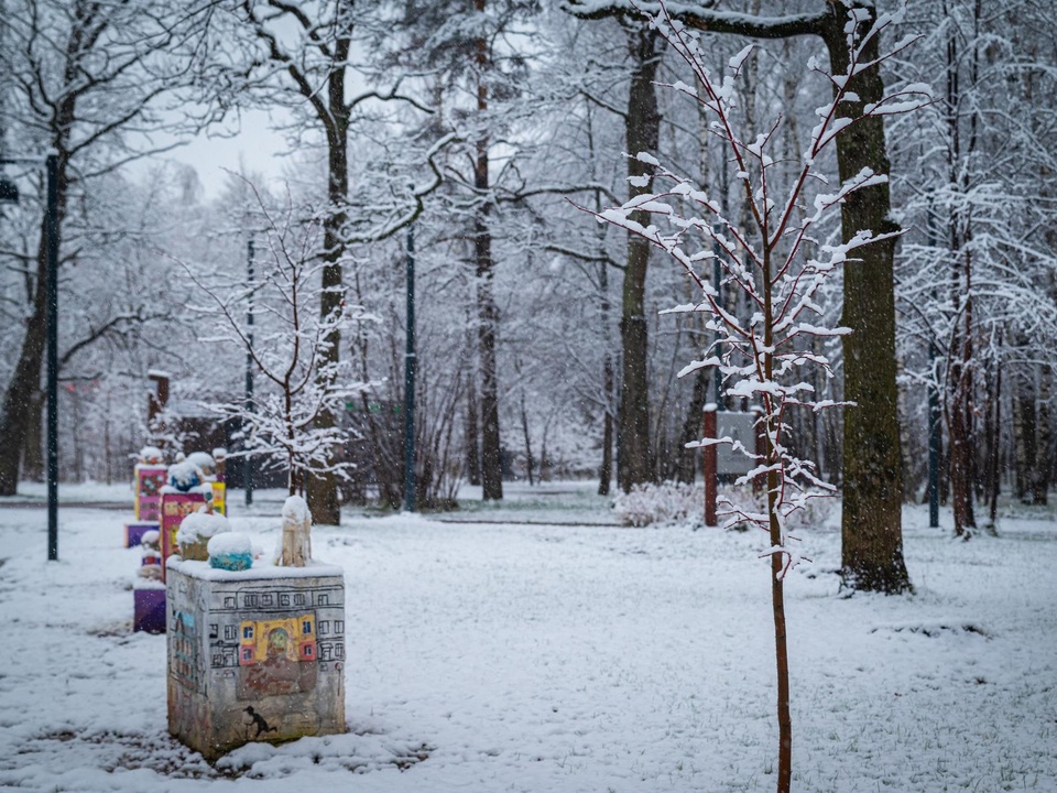 Фото: пресс-служба администрации г.о. Фрязино