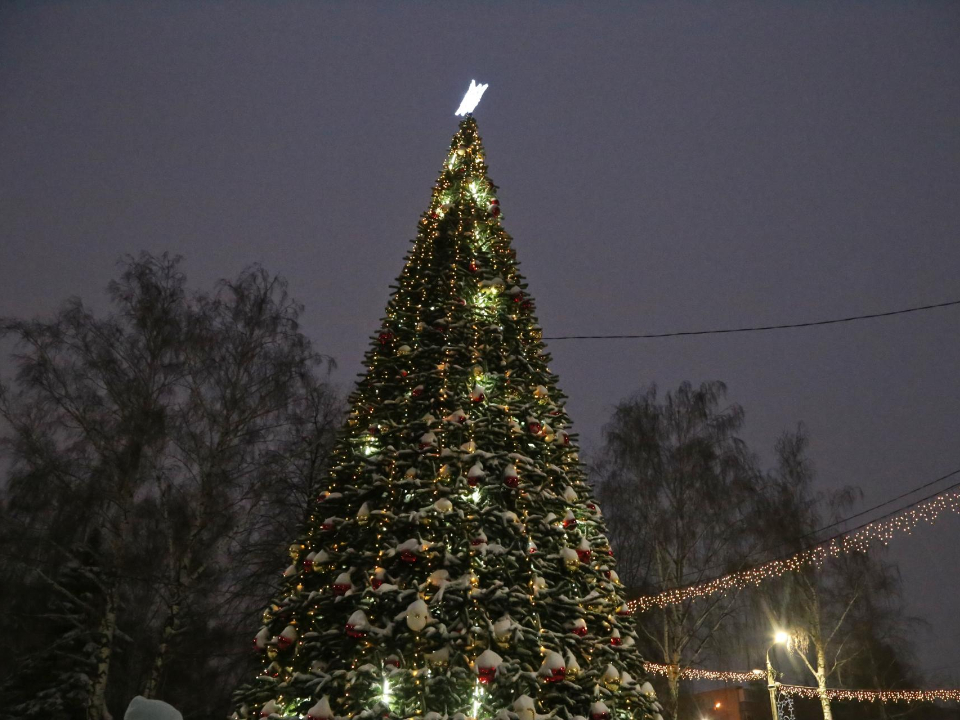 Фото: пресс-служба администрации м.о. Луховицы