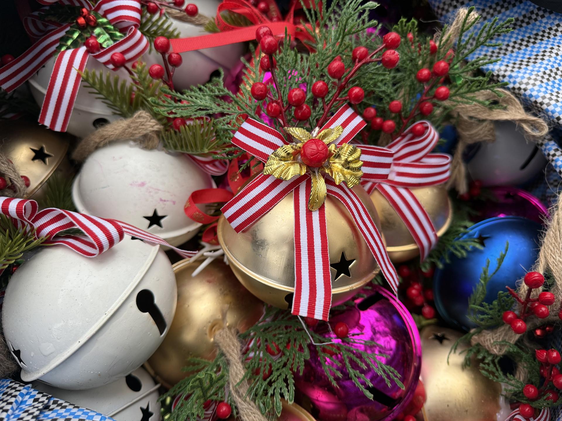 Фото: МедиаБанк Подмосковья/Анна Дука