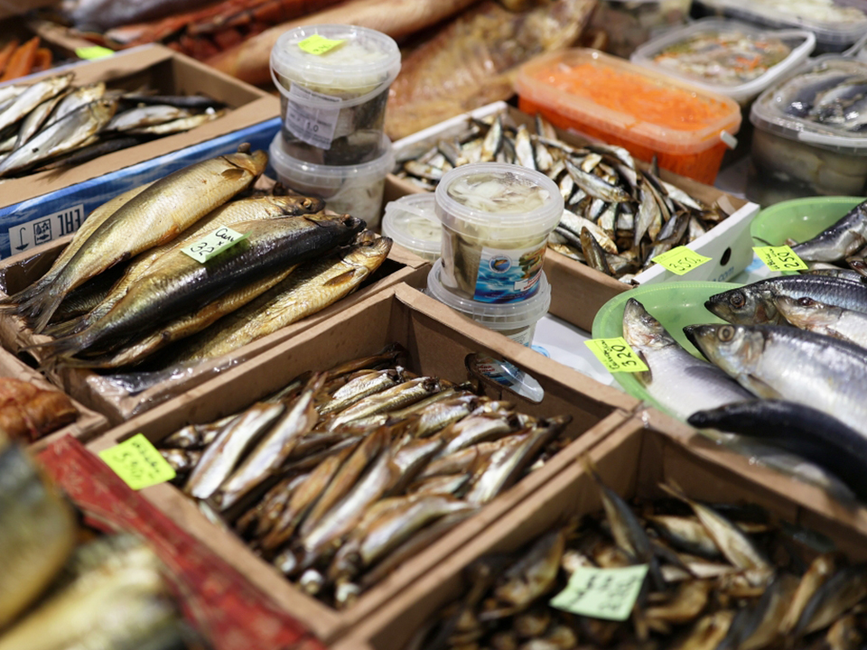 Фото: РИА Новости/Виталий Тимкив