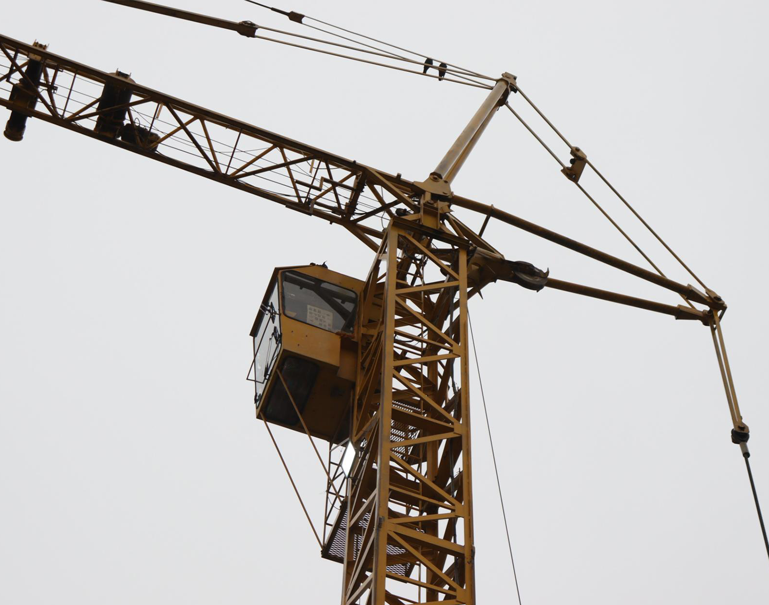 Фото: МедиаБанк Подмосковья/Татьяна Кострикина