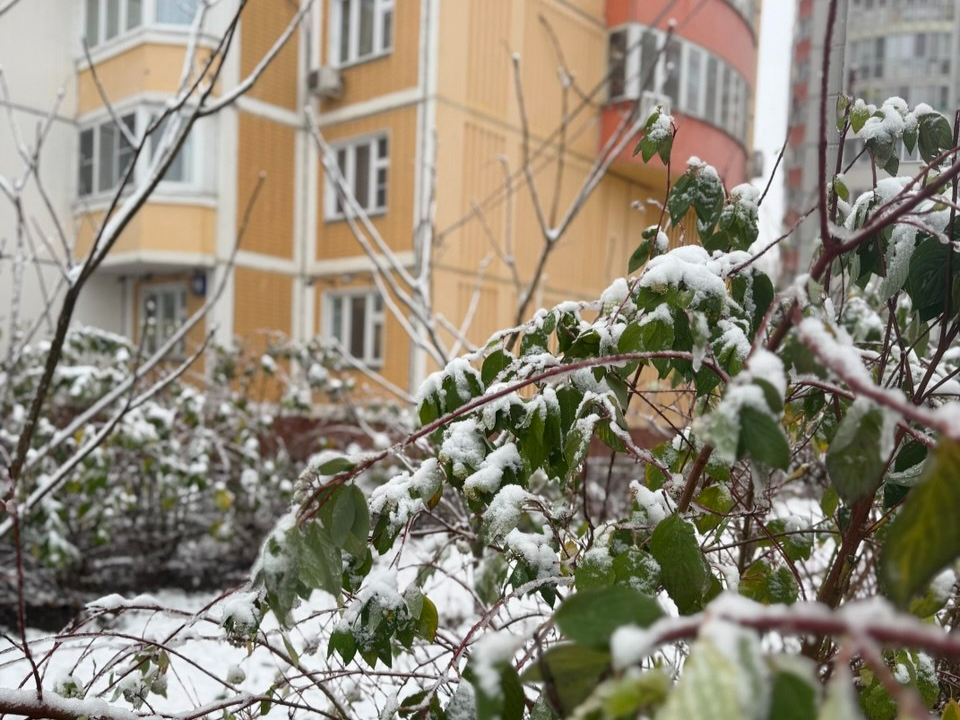 Фото: REGIONS/Дарья Назарова