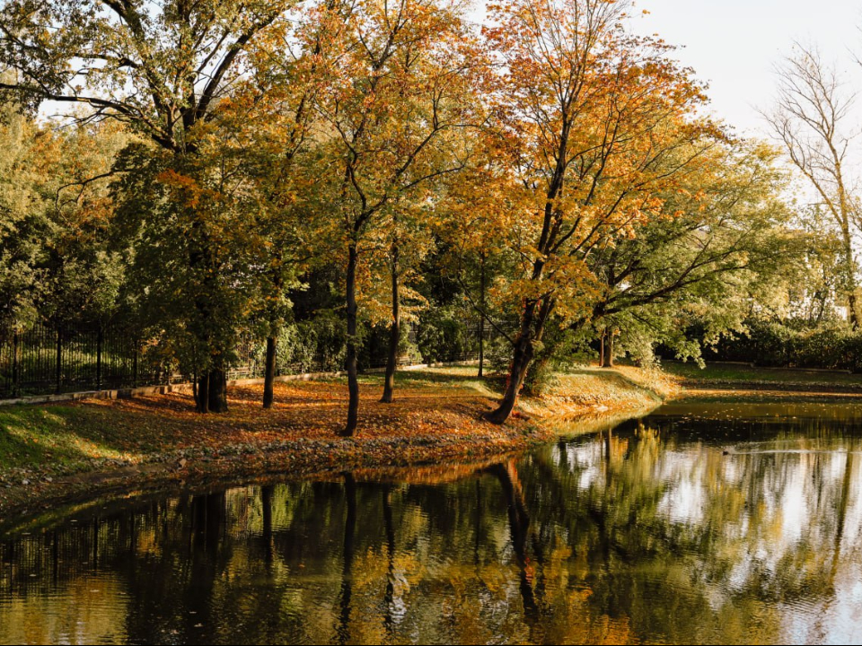 Фото: t.me/culturemo