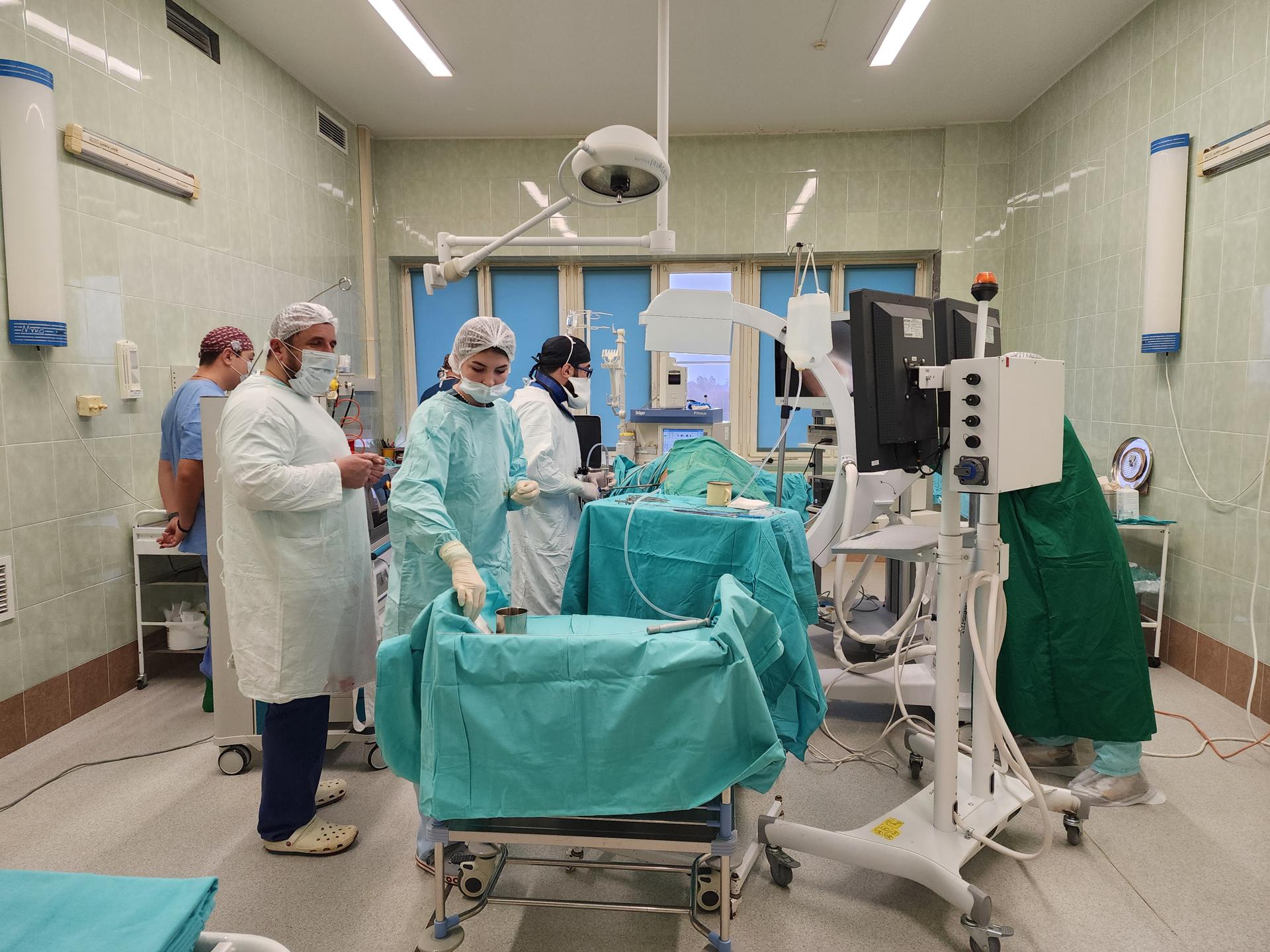 Фото: МедиаБанк Подмосковья/Ирина Моисеева