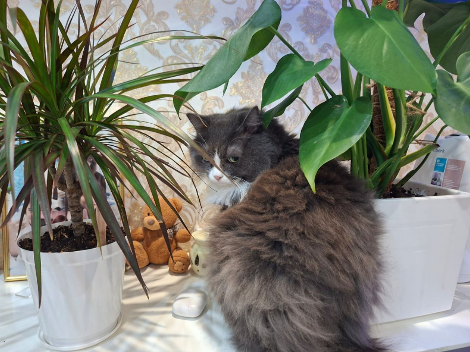 Фото: REGIONS/Юлия Габбасова