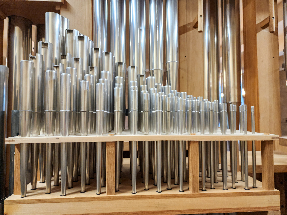 Фото: МедиаБанк Подмосковья/Мария Андрюхина