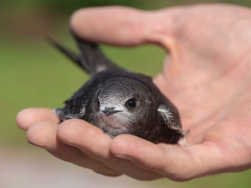 Фото: istockphoto.com