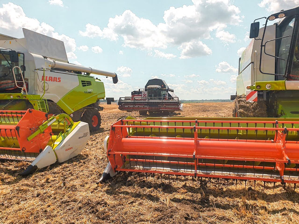 Фото: «Ферма Цветковых»