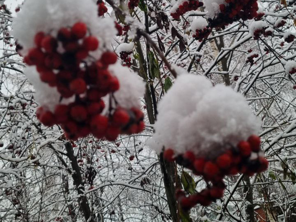 Фото: Ольга Егиян