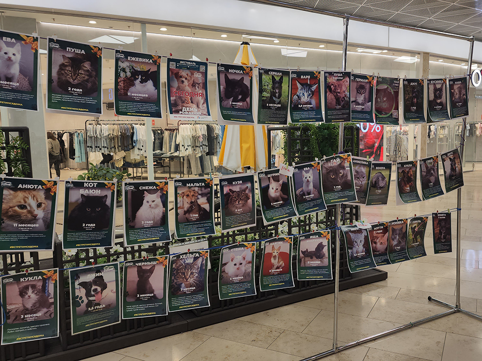 Фото: МедиаБанк Подмосковья/Ольга Шеметова