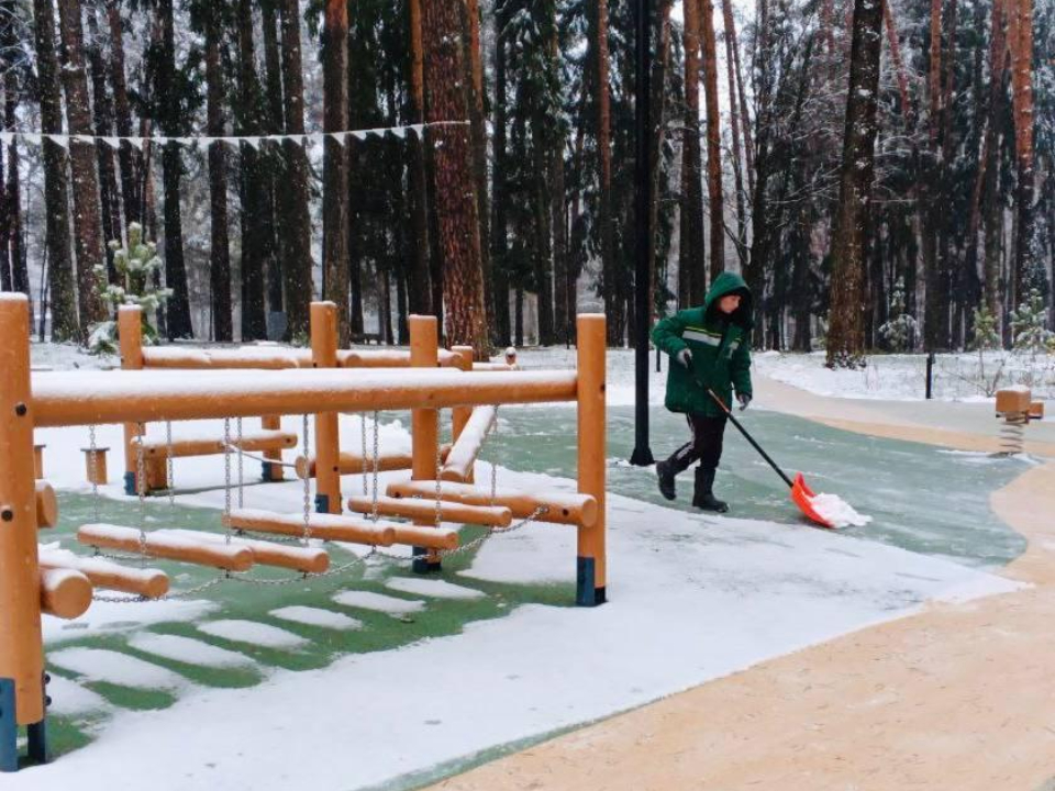 Фото: администрация г.о. Жуковский