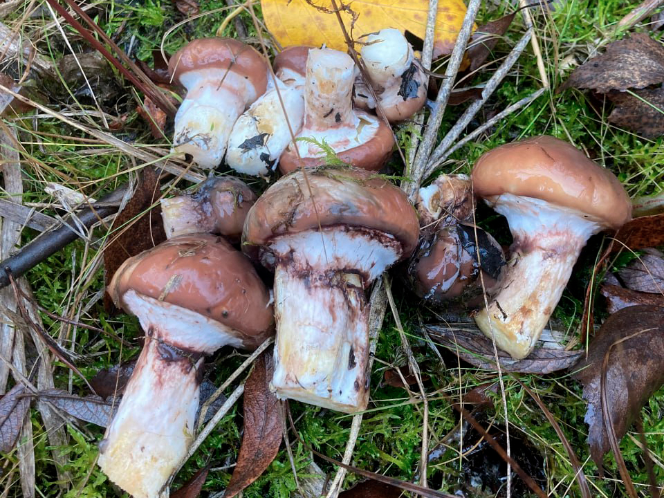 Фото: из архива Михаила Лапушкина