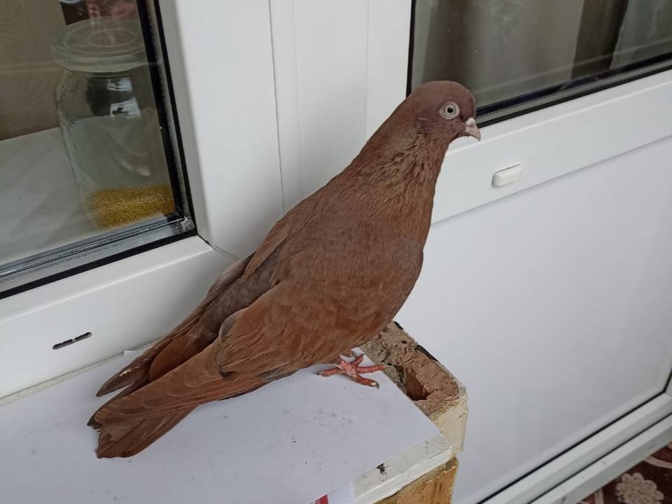 Фото: Татьяна Горохова