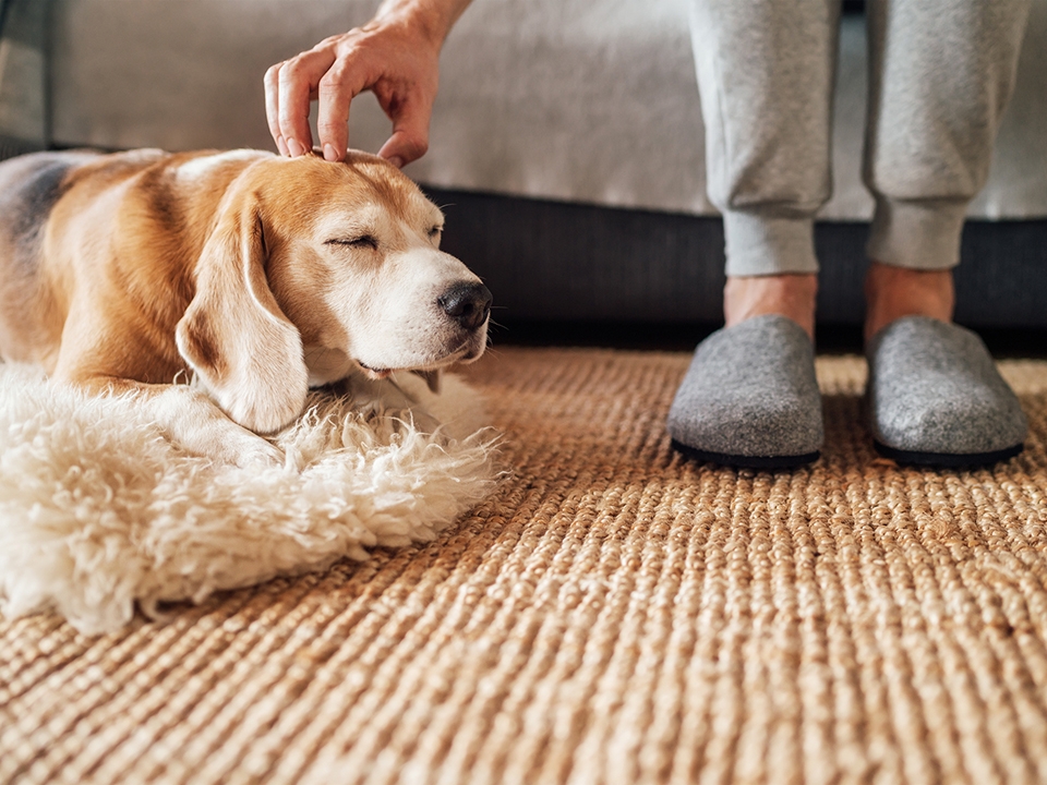 Фото: istockphoto.com/Solovyova