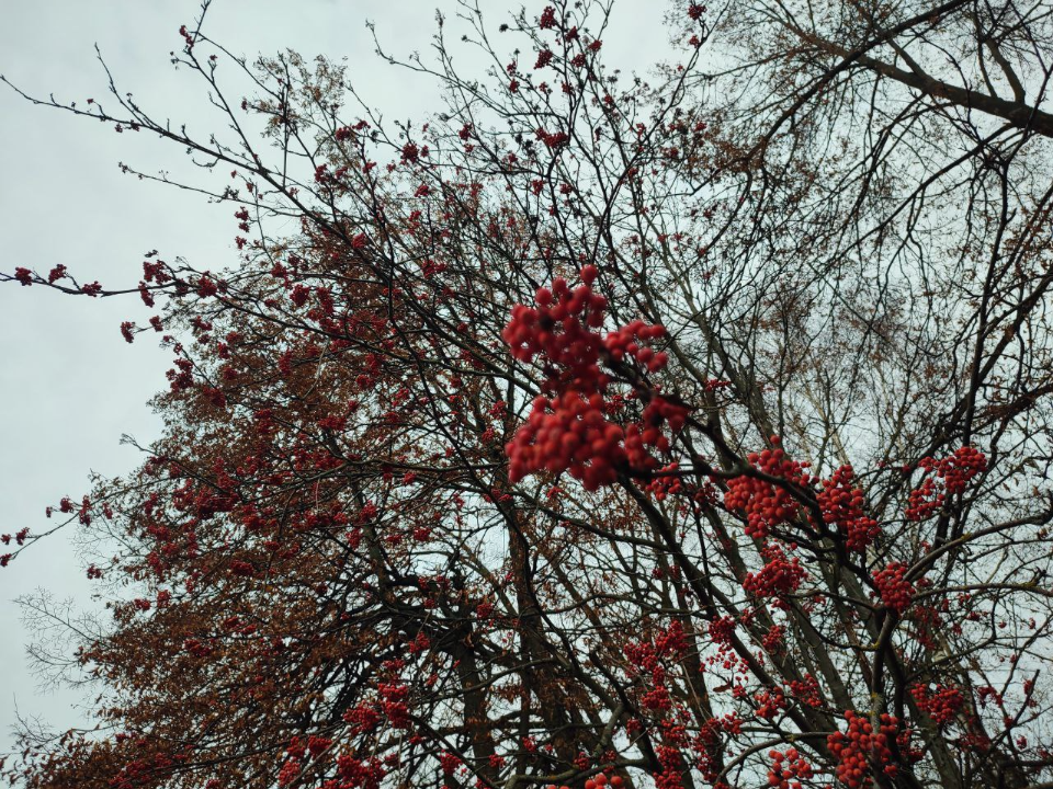 Фото: REGIONS/Елена Забелина