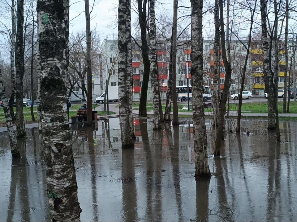 Фото: МедиаБанк Подмосковья/Екатерина Федосеева