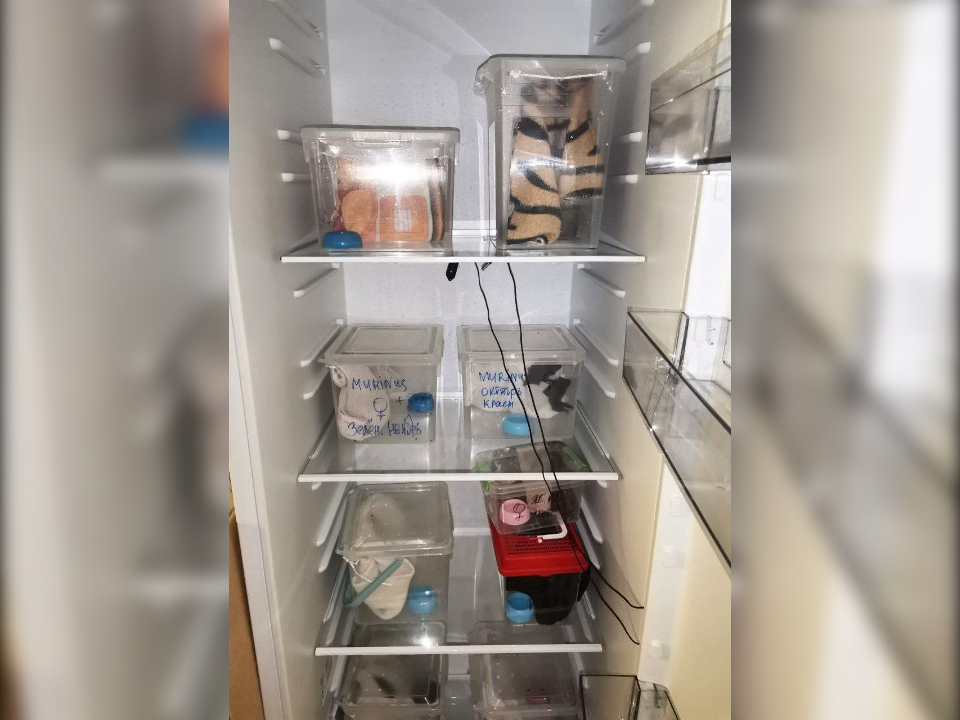 Холодильник для спячки рукокрылых. Фото: личный архив Максима Рублева