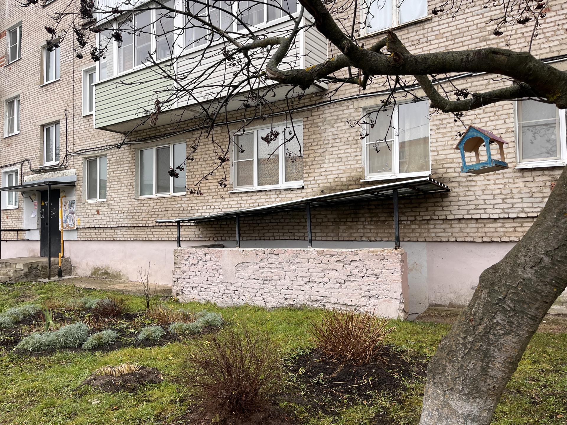 Фото: МедиаБанк Подмосковья/Ангелина Стельмух