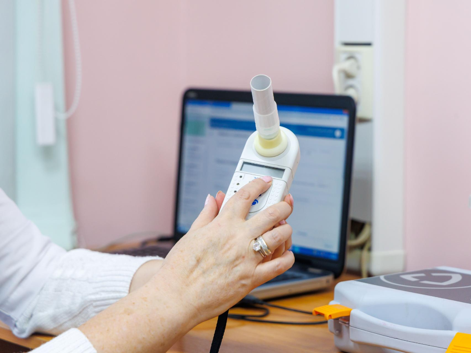 Фото: МедиаБанк Подмосковья/Наталья Лымарь