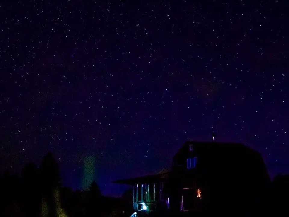 Фото: REGIONS/Владимир Ерастов