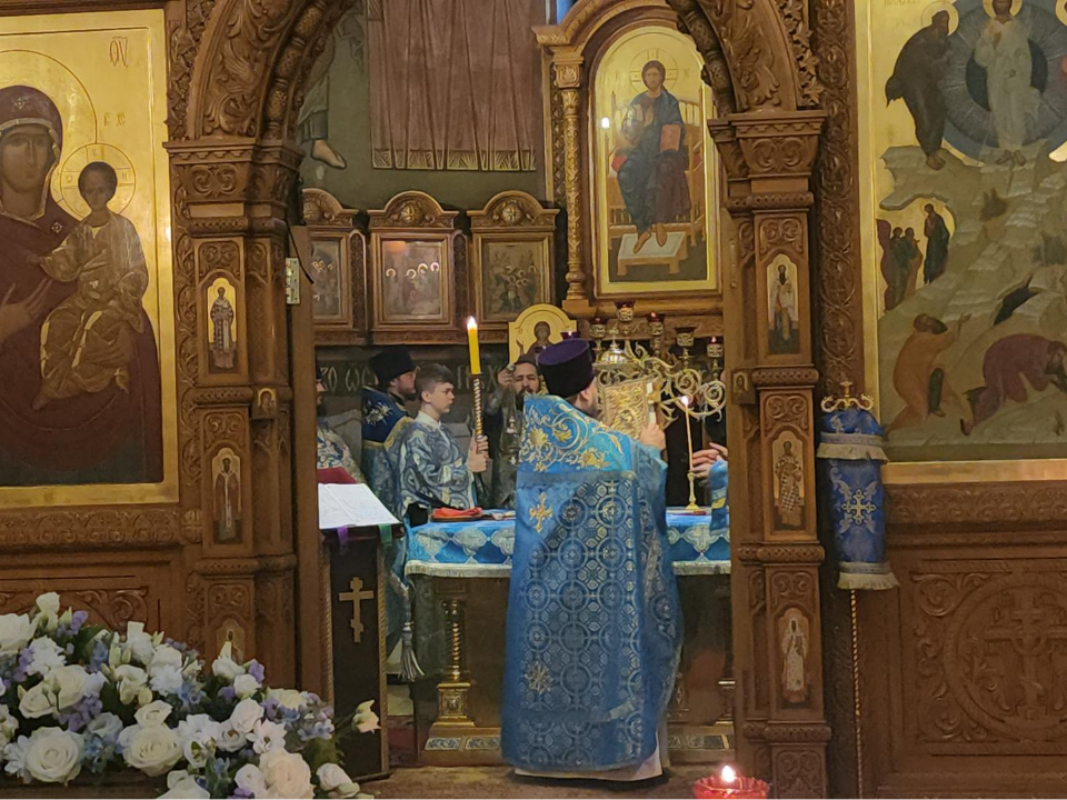 Фото: МедиаБанк Подмосковья/Наталья Лымарь