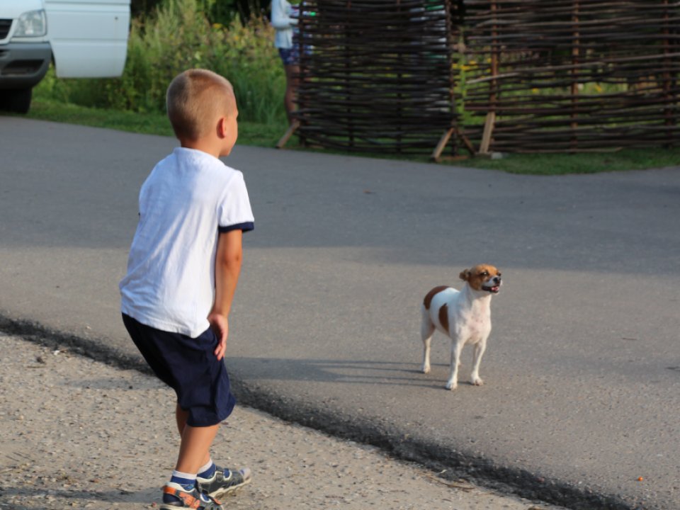 Фото: REGIONS/Илья Попов