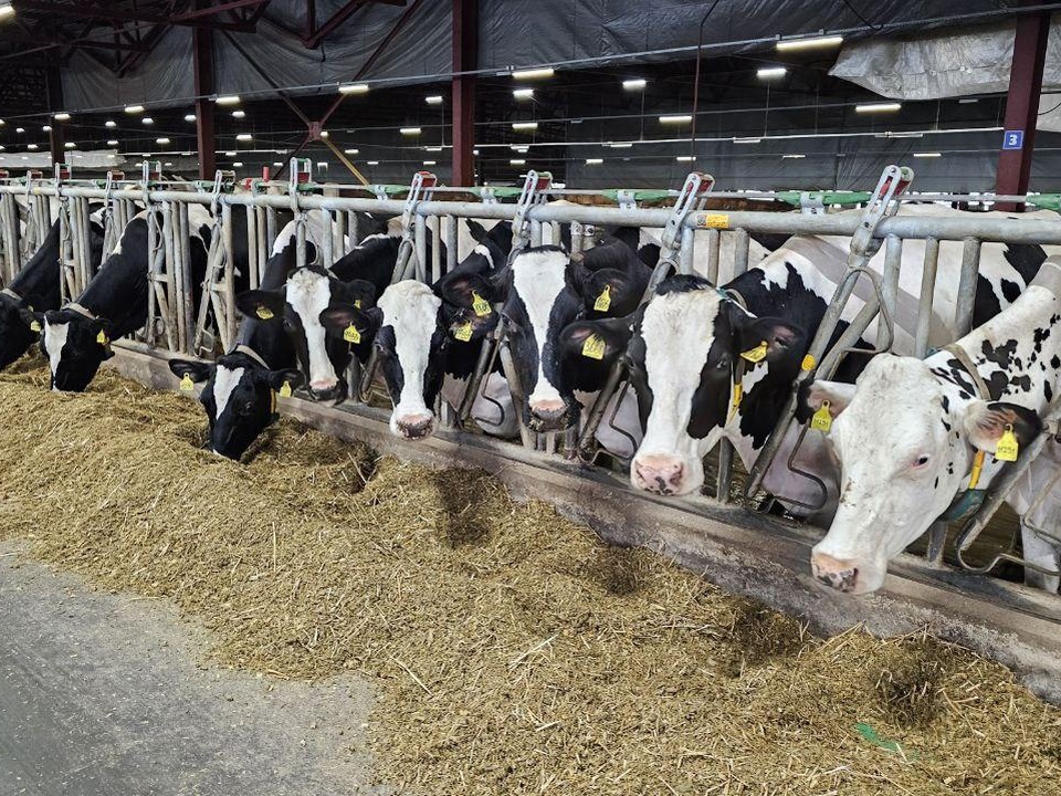 Фото: Агрохолдинг  «ОСП агро» 