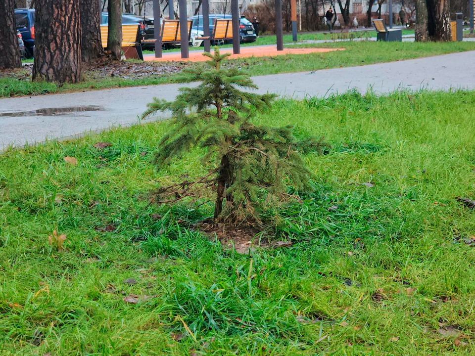 Фото: МедиаБанк Подмосковья/Роман Кутузов