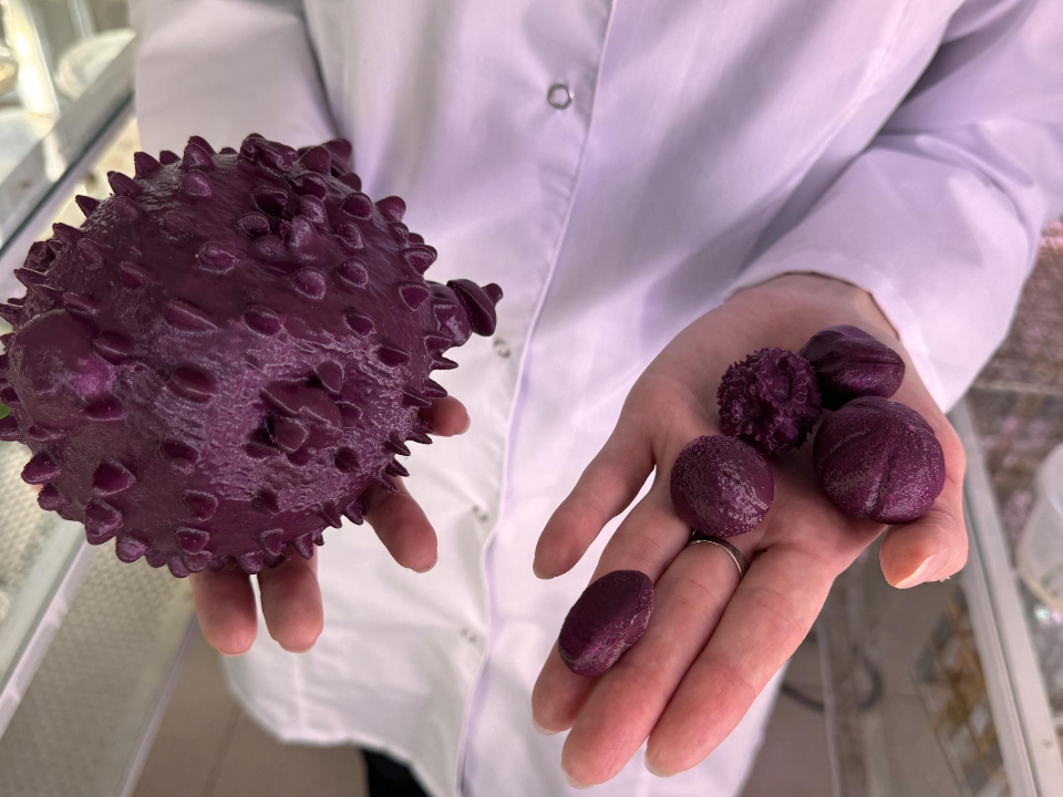  Фото: REGIONS/Мария Шматкова 