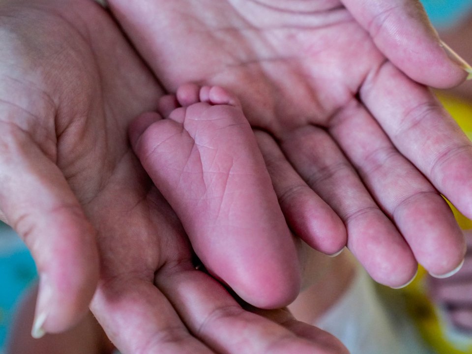 Фото: пресс-служба губернатора и правительства Московской области/Александра Степанова