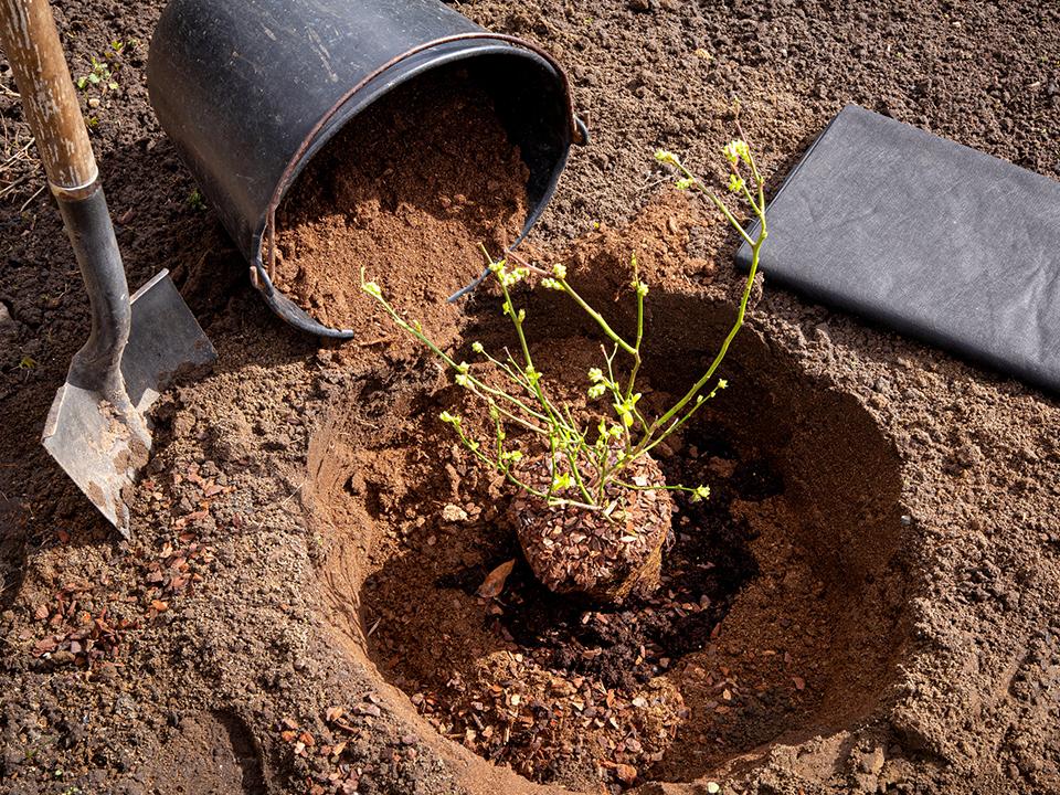 Фото: istockphoto.com/Helin Loik-Tomson