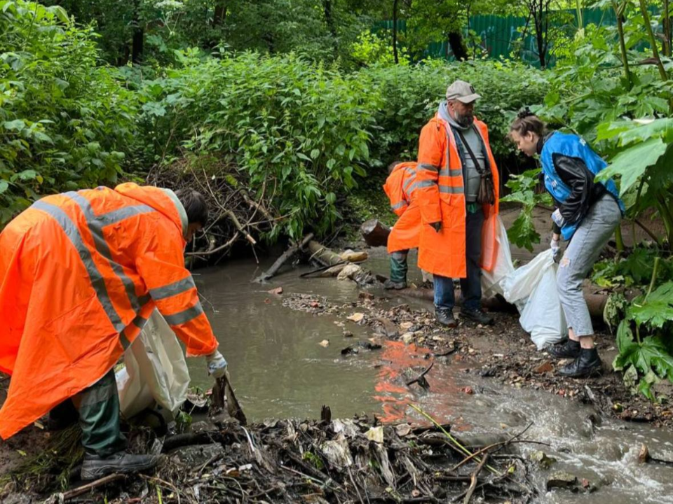 Фото: пресс-служба администрации г. о. Подольск