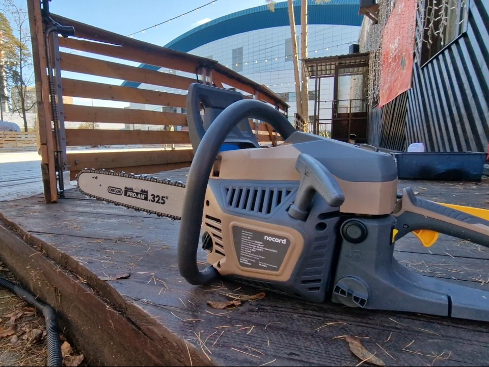 Фото: Виктория Фортуна