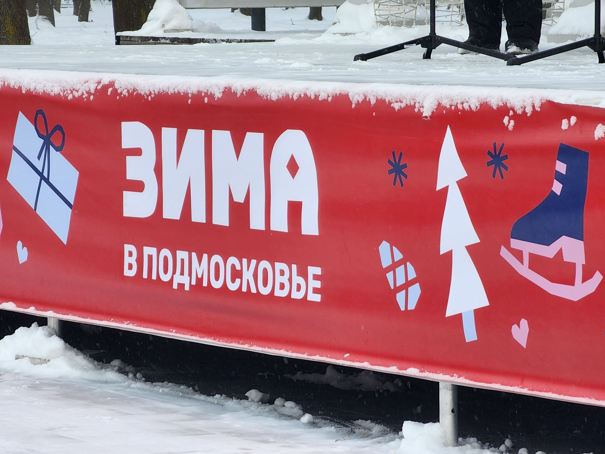 Фото: МедиаБанк Подмосковья/Светлана Плотникова