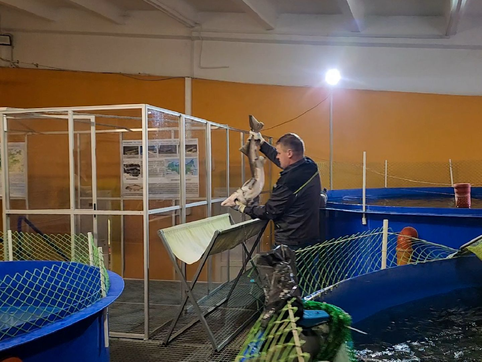 Фото: МедиаБанк Подмосковья/Мария Андрюхина