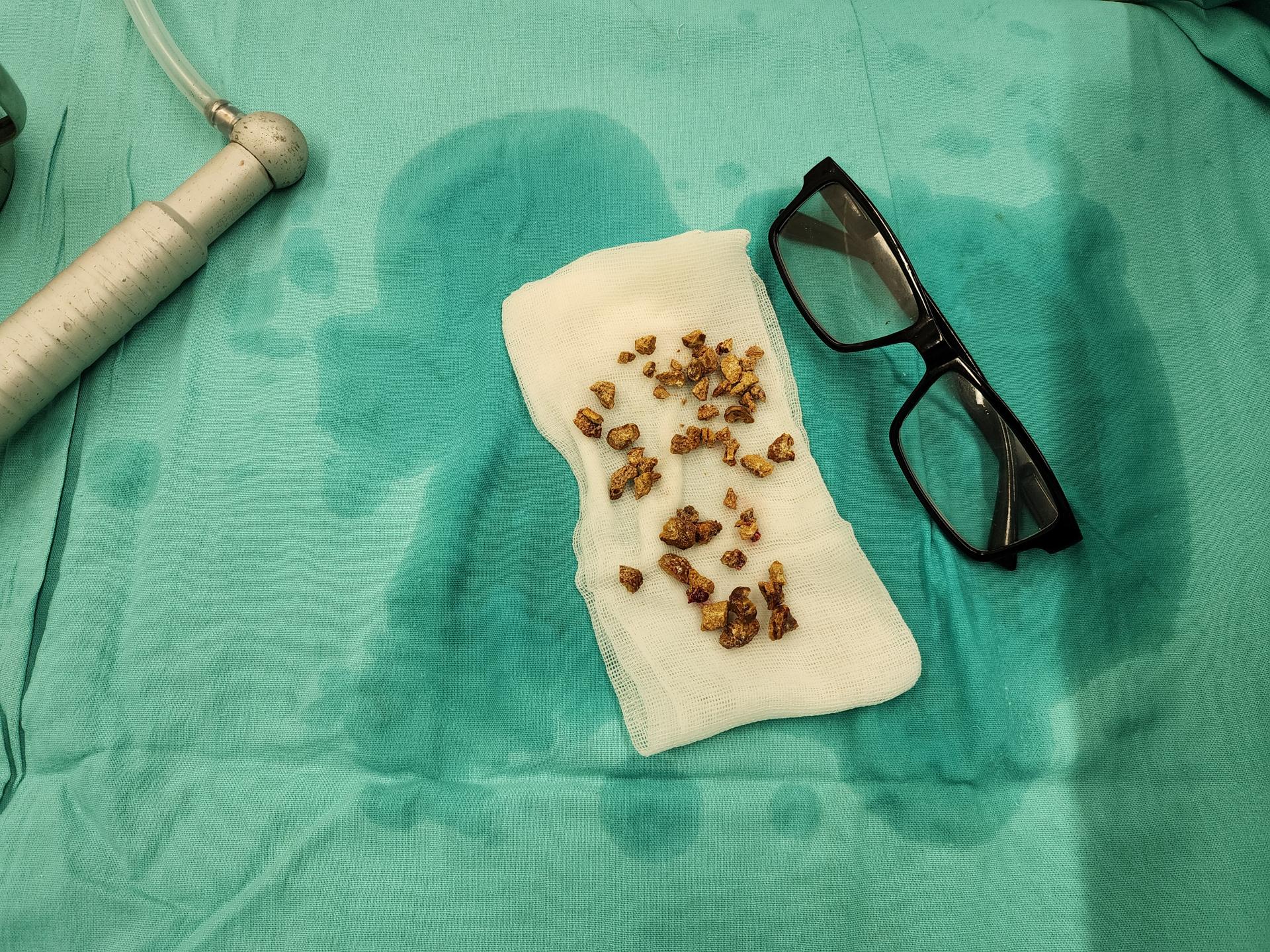 Фото: МедиаБанк Подмосковья/Ирина Моисеева