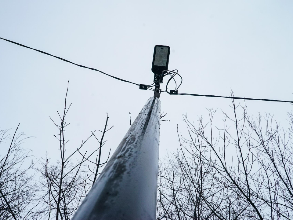 Фото: пресс-служба администрации г.о. Химки