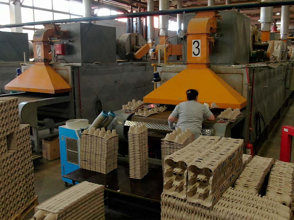 Фото: МедиаБанк Подмосковья/Валентина Максимова 