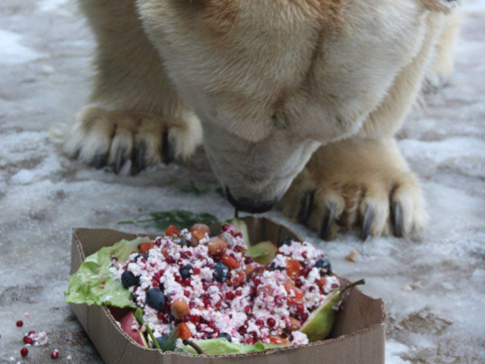 Фото: Центр воспроизводства редких видов животных