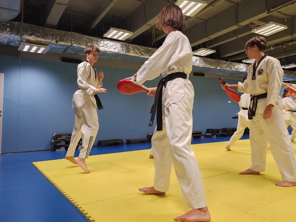 Открытая тренировка по тхэквондо в наукограде. Фото: Иван Петрушин