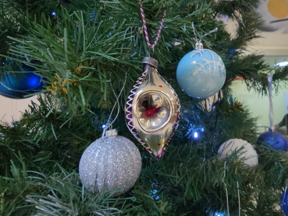 Фото: МедиаБанк Подмосковья/Наталья Лымарь