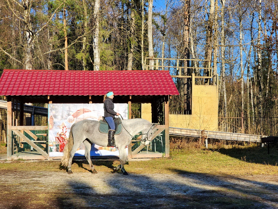 Фото: МедиаБанк Подмосковья/Ольга Аввакумова