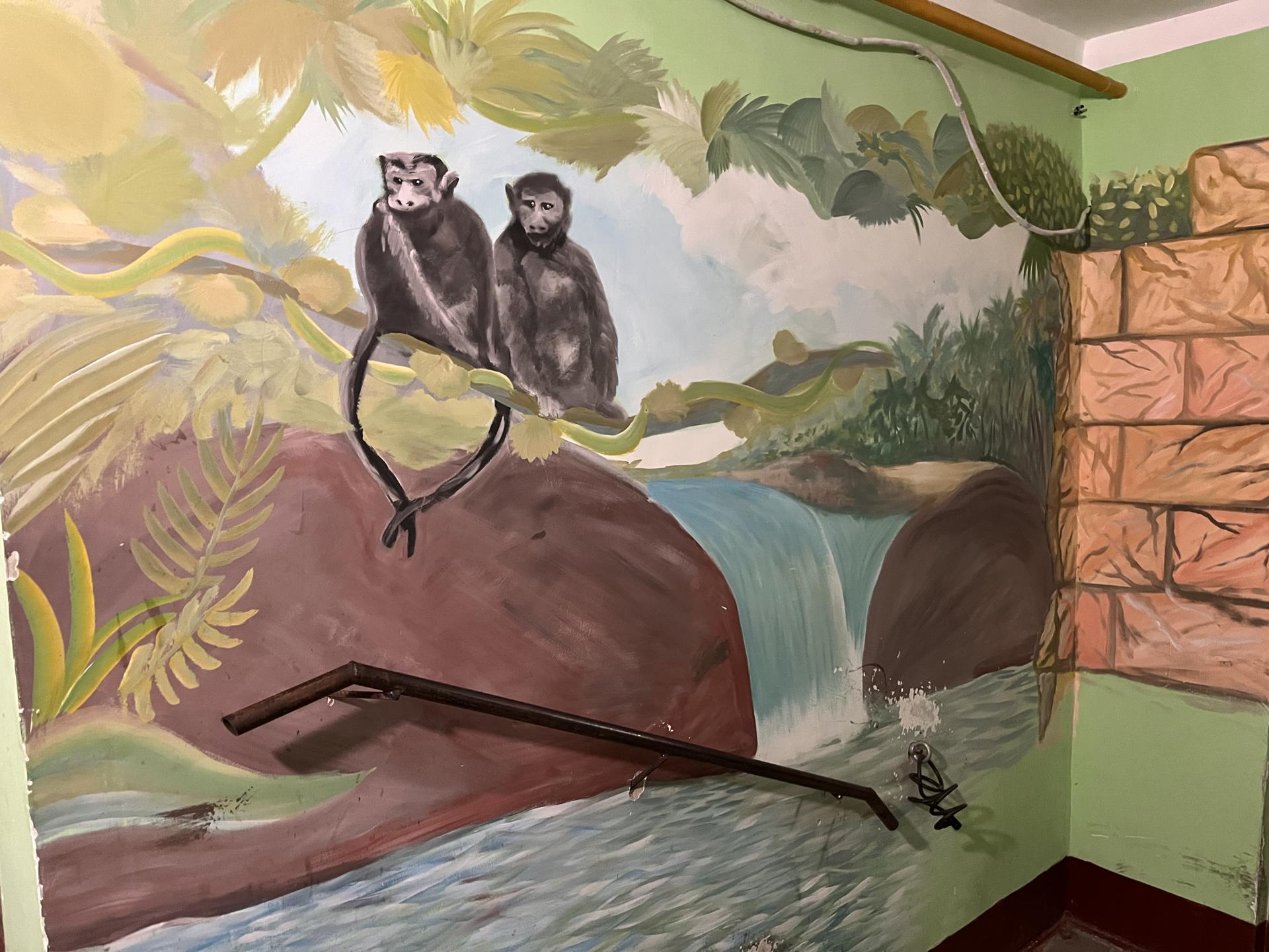 Фото: МедиаБанк Подмосковья/Ангелина Стельмух