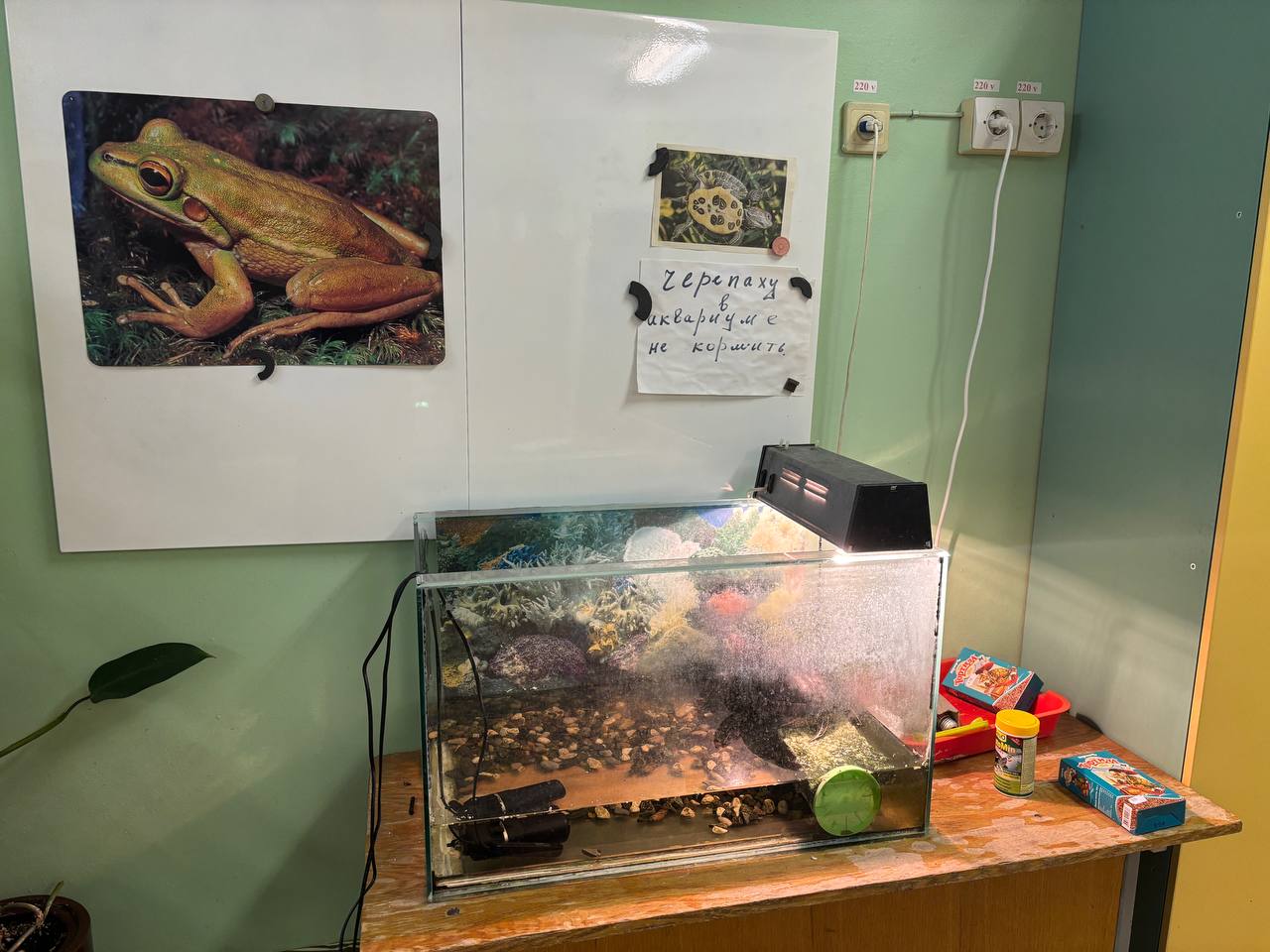 Фото: телеканал «Дубна»