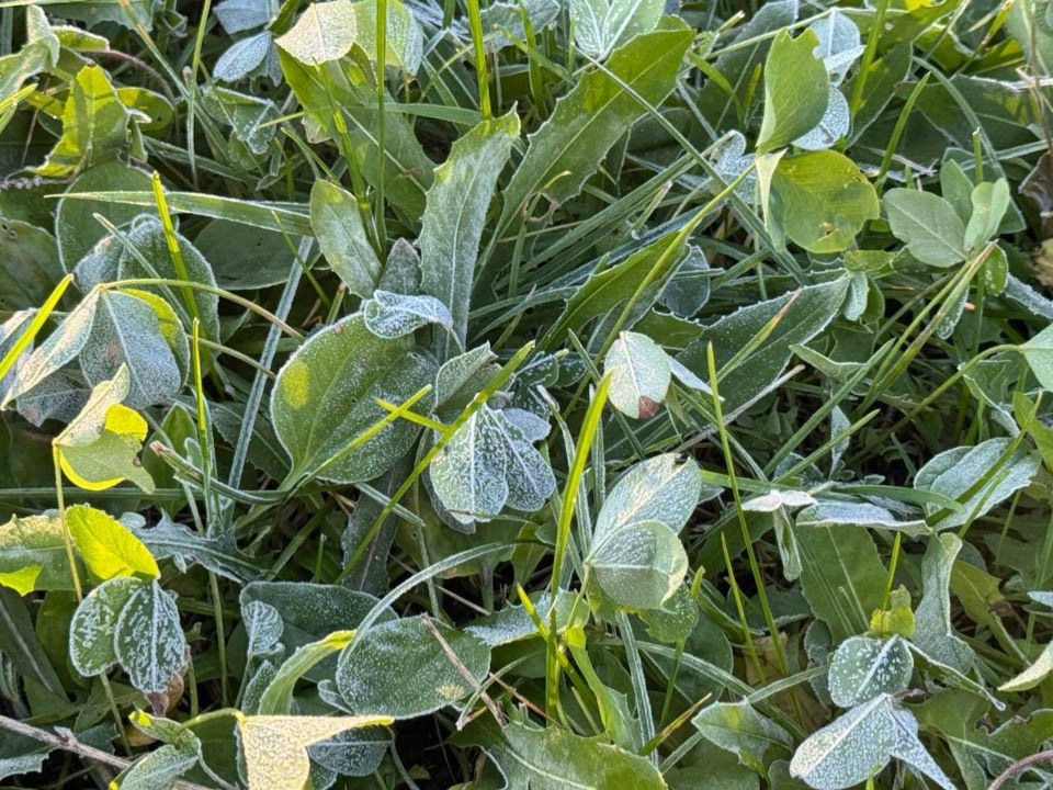 Фото: REGIONS/Евгения Макаренко